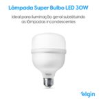 LAMP LED BULBO  BIV  30W  6500K E27 ELGIN * - Miniatura