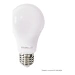 Lâmpada LED Bulbo Bivolt 9W 6500K E27 Empalux - Miniatura
