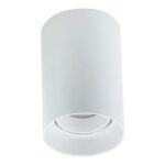 SPOT SOBREPOR FENIX MR16 REDONDO BRANCO PIX - Miniatura